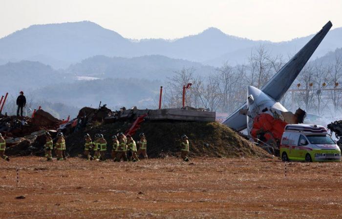 A Boeing 737 crashes on landing in South Korea: at least 151 dead and two survivors, a collision with birds is believed to be the cause of the crash