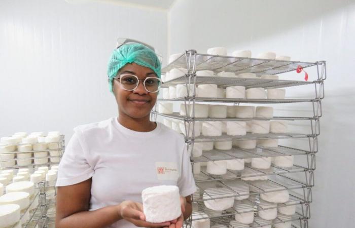 this cheese made in Meaux wins the prize for “Best cheese in the world”