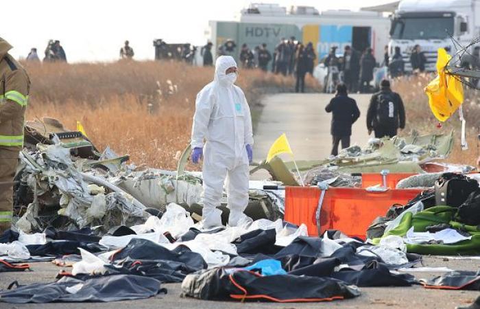 Plane crash in South Korea: what we know about this terrible accident | South Korea