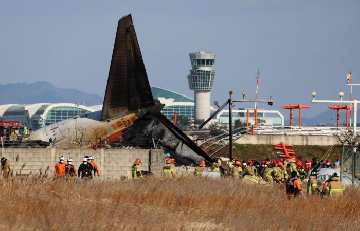 151 dead, birds involved… what we know about the Jeju Air plane crash in South Korea