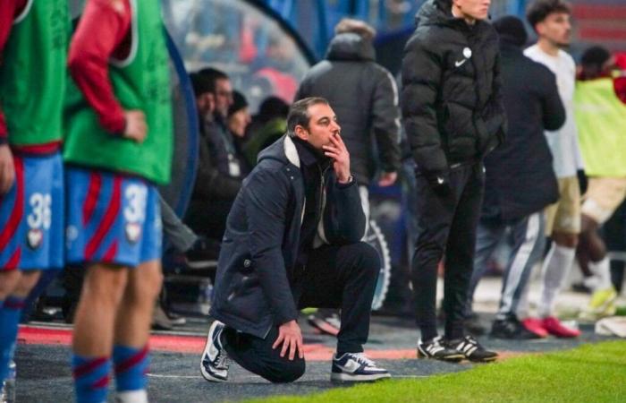 SM Caen. Sacked, Nicolas Seube is no longer the coach of Stade Malherbe