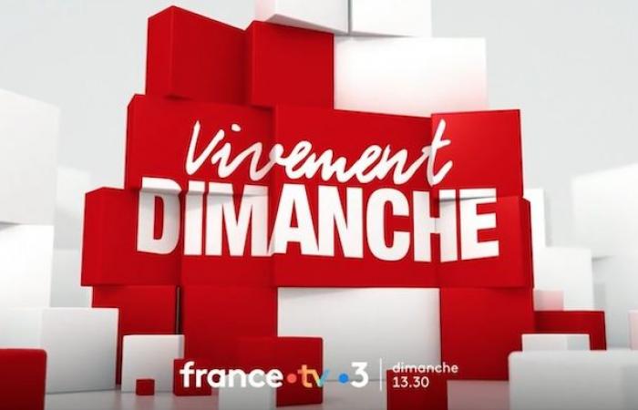 “Vivement Dimanche” from December 29, 2024: which guests today for Michel Drucker?