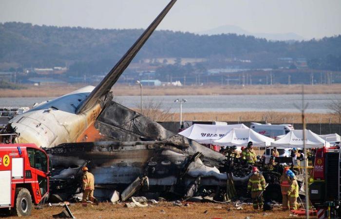 Crash of a Boeing 737 in South Korea: the plane crashes on landing, at least 120 dead, the plane seems to have struck birds