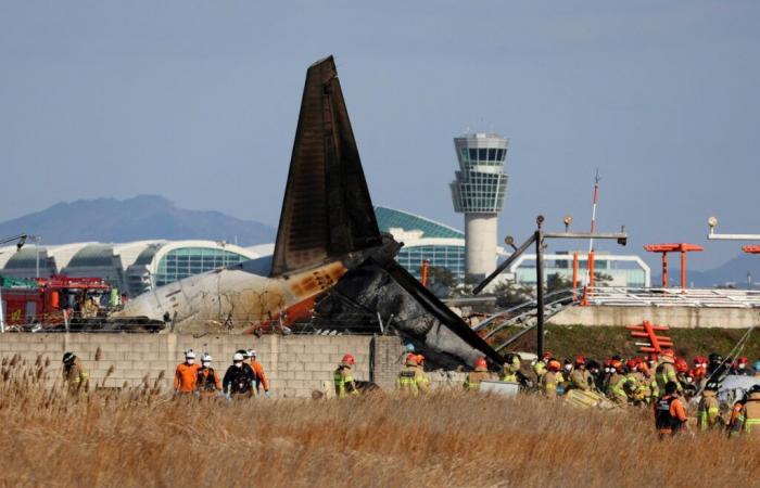 At least 120 killed in S Korea as plane crashes on landing at Muan airport | News