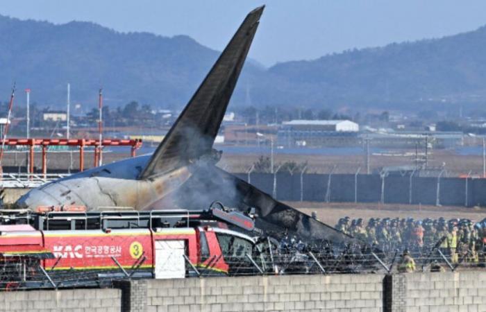 South Korea: plane catches fire on landing, killing at least 120: News