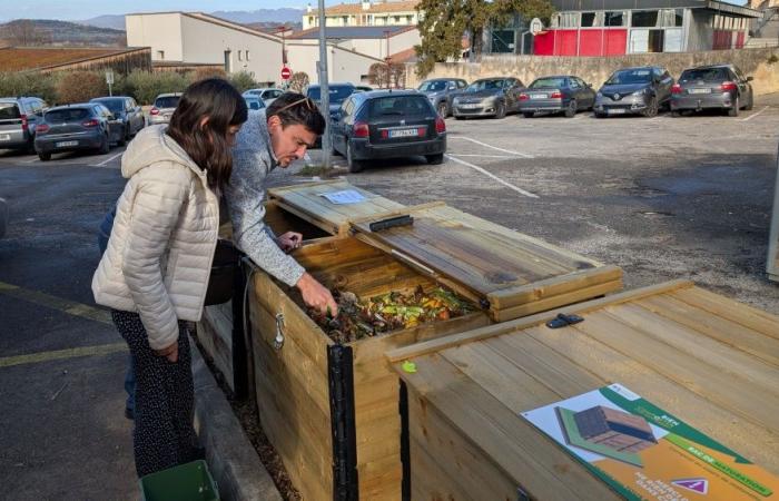 What solutions for DLVA composting in the Alpes-de-Haute-Provence?