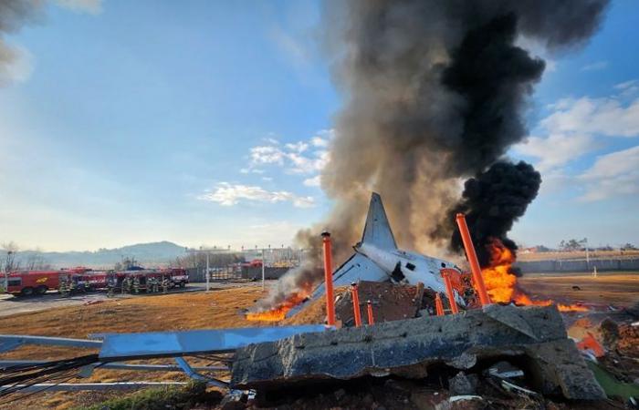 Crash of a Boeing 737 in South Korea: the plane crashes on landing, at least 120 dead, the plane seems to have struck birds