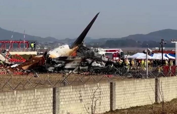 Passenger plane crashes in South Korea: death toll rises to 179