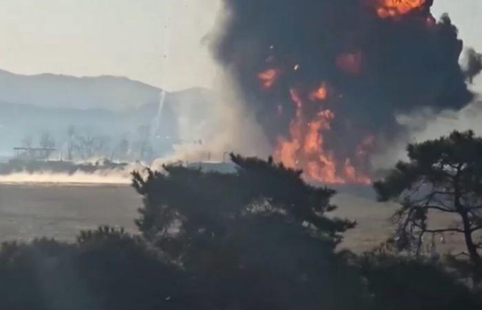 Crash of a plane carrying 181 people in South Korea: firefighters offer a first explanation