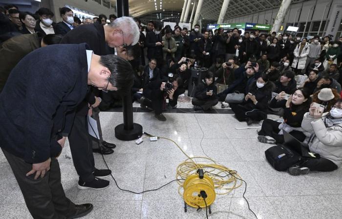 South Korea: uncertainty over cause of Jeju Air plane crash