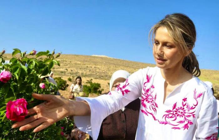 Asma al-Assad has a 50% chance of survival in the short term