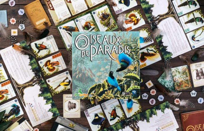 My 10 “favorite” board games of 2024