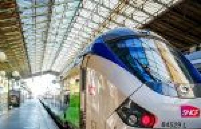 SNCF: disruptions expected at the start of 2025 on night trains to the South of France