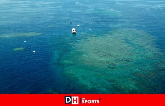 Australia: man killed by shark in Great Barrier Reef while fishing