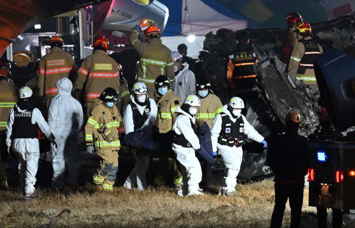 “Can’t land now”: messages from passenger of plane that crashed in South Korea revealed