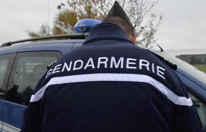 A 50-year-old woman killed her partner in Lot-et-Garonne with a stab