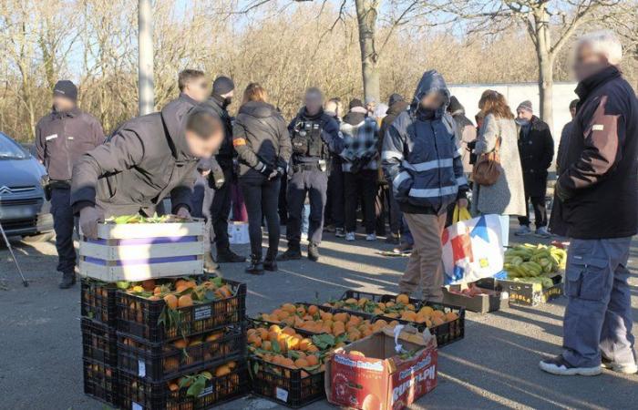 “We came close to disaster”: the police close the wild Paillade market under pressure from Les Halles traders