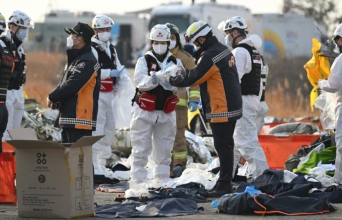 At least 177 dead in South Korea’s worst air disaster – 12/29/2024 at 12:55