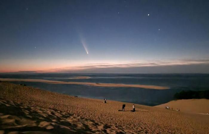 A siltation in Andernos, northern lights on the Pilat dune, Tom Cruise… Here are the most read articles on the Arcachon basin on sudouest.fr