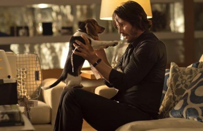 Keanu Reeves Might Not Return… But Not For The Reasons You Think