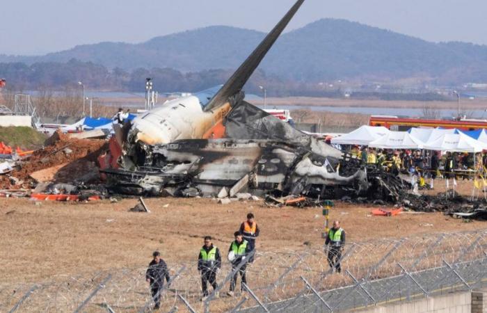 South Korea plane crash: At least 177 killed after suspected bird strike | World News