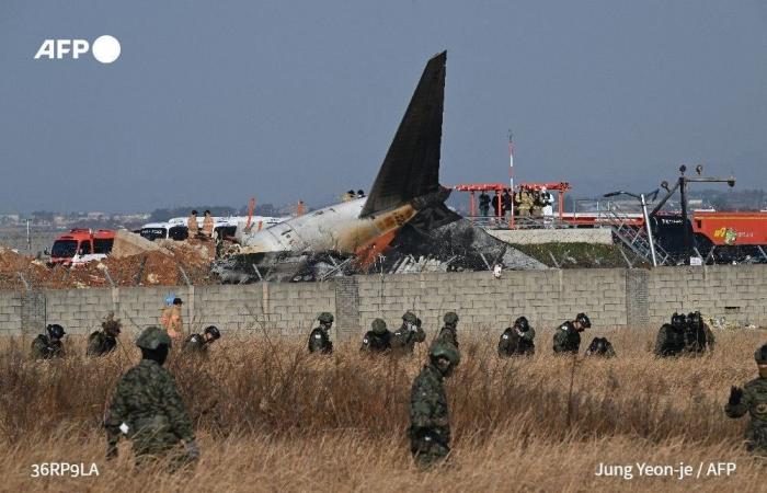 Plane crash in Korea: death toll rises to 151