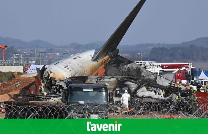 At least 120 dead in South Korea plane crash: here’s what caused the tragedy (videos)