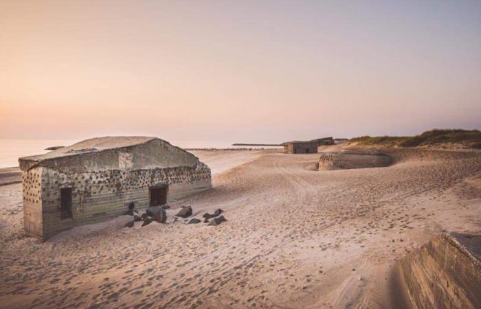 In Belgium, no new bunkers, but “resilience” in the face of the Russian threat