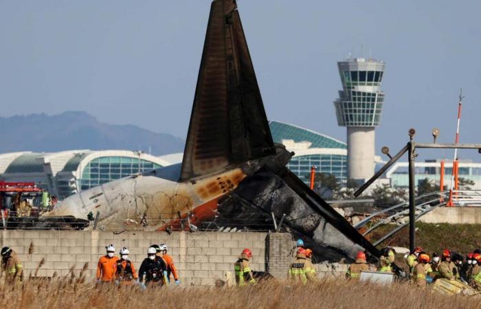 Plane accident in South Korea: 151 dead in provisional report