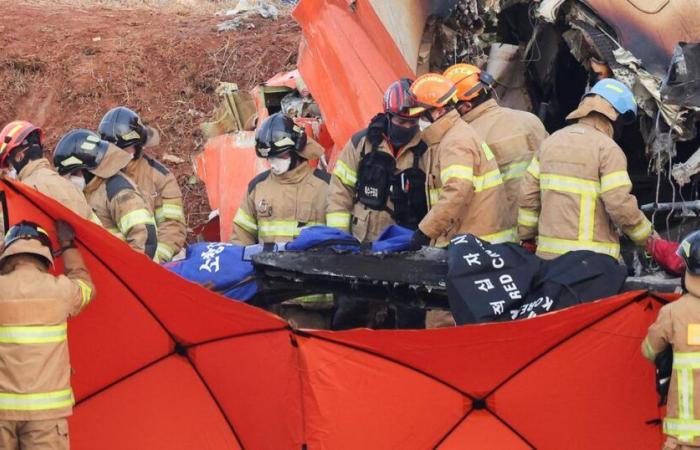 what we know about the only two survivors of the crash in South Korea