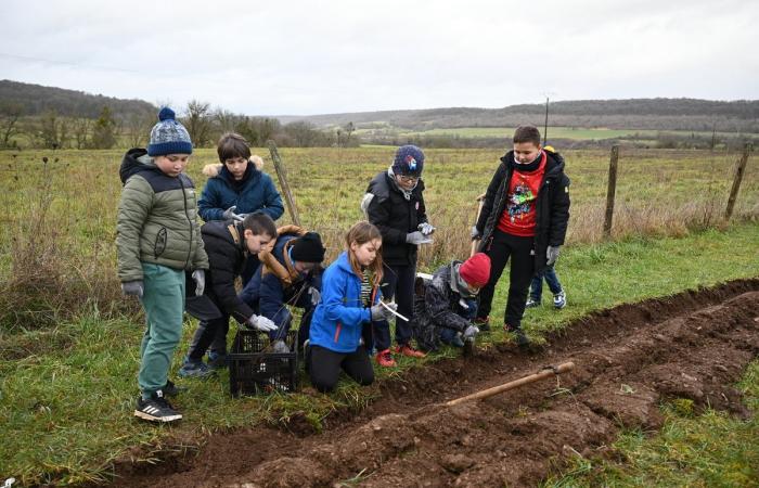 Sensibilis’haie takes root in Saint-Loup-sur-Aujon