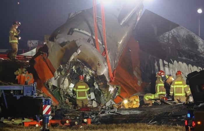 Who are the only two people who survived the airliner crash?