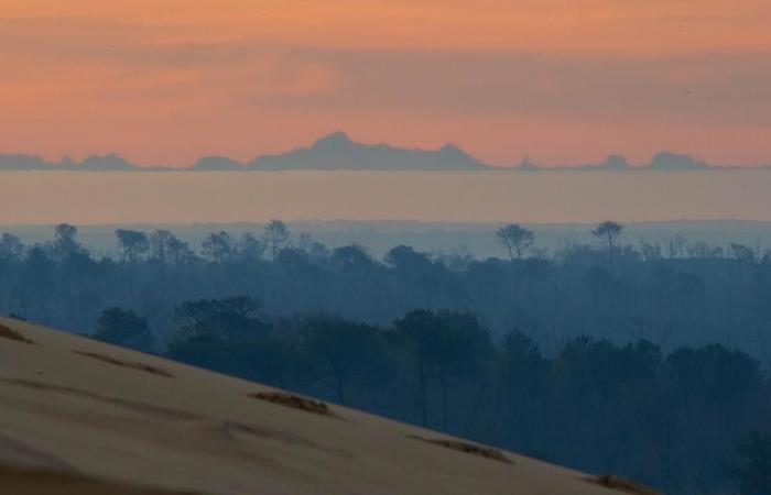 A siltation in Andernos, northern lights on the Pilat dune, Tom Cruise… Here are the most read articles on the Arcachon basin on sudouest.fr