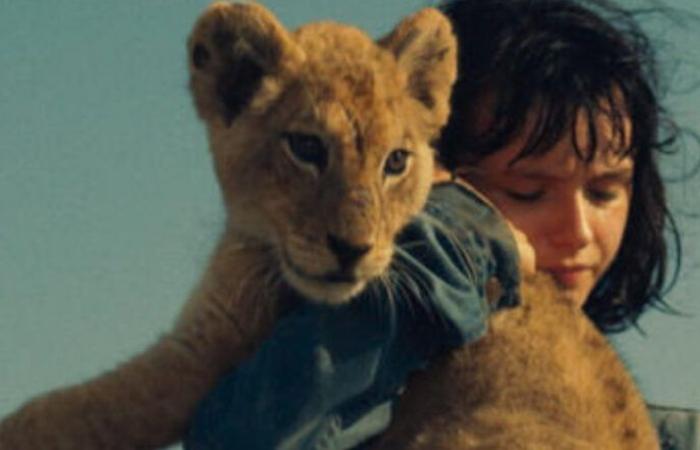 Was a real lion cub used in the film?