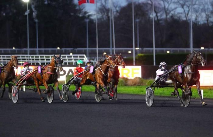 Agenda for the week (December 30 to January 5): a very beautiful weekend on the Vincennes ash with the Prix du Calvados – Cornulier Races, the jumpers have their big meeting in Cagnes/Mer