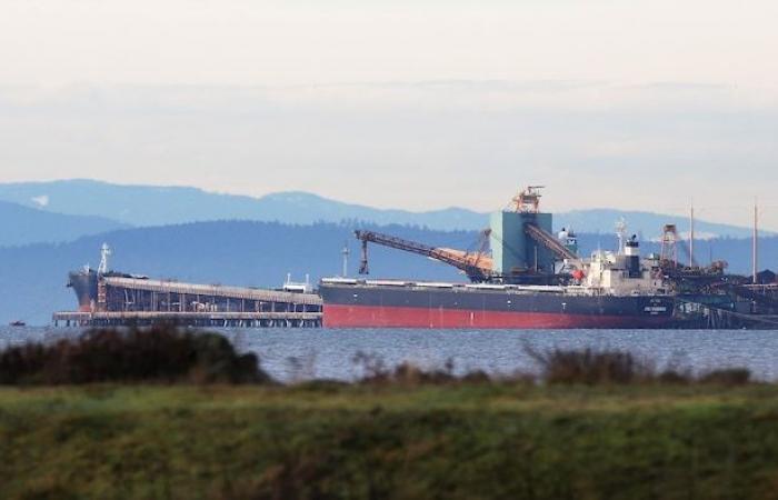 A fire has been extinguished at the coal terminal at the Port of Delta, B.C.