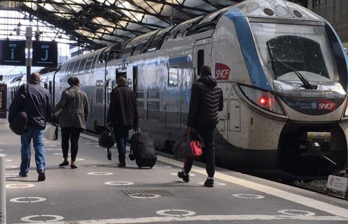 Paris: an SNCF driver violently attacked at Gare de Lyon