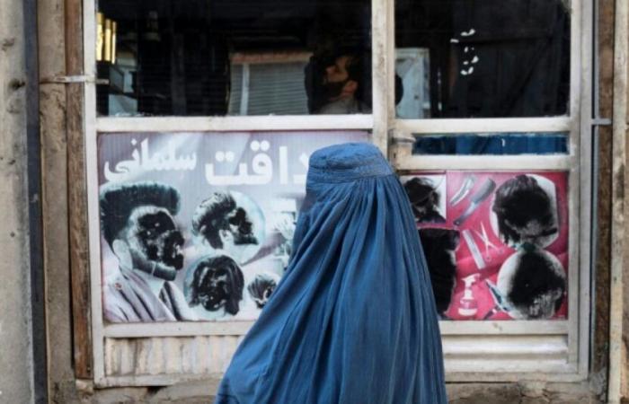 Now in the Taliban's sights: windows that allow women to be seen: News