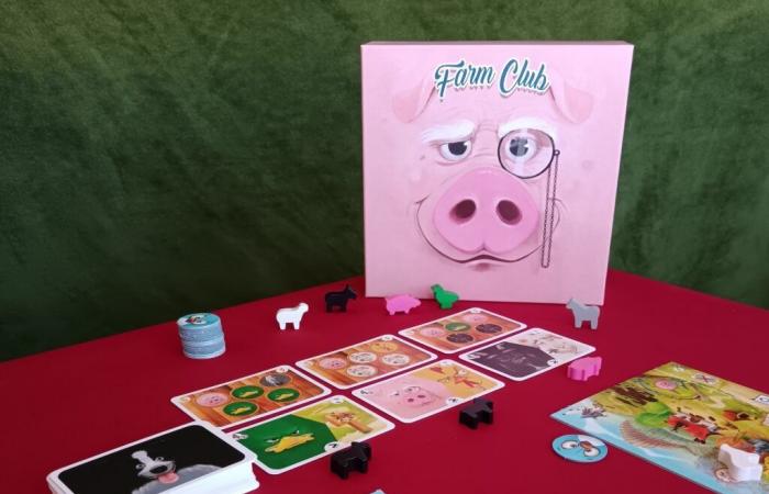 50 shades of pink and the Farm Club by Michel Pastoureau