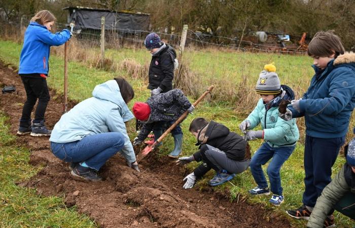 Sensibilis’haie takes root in Saint-Loup-sur-Aujon