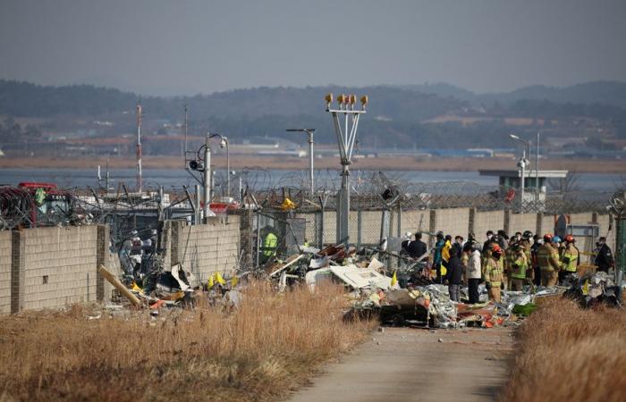 South Korea | Plane crash leaves 179 dead, two survivors