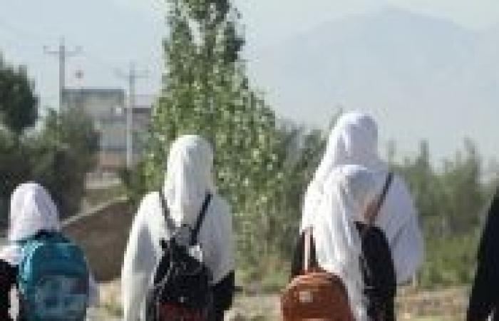 In Afghanistan, the Taliban government bans windows in new buildings so women are not seen