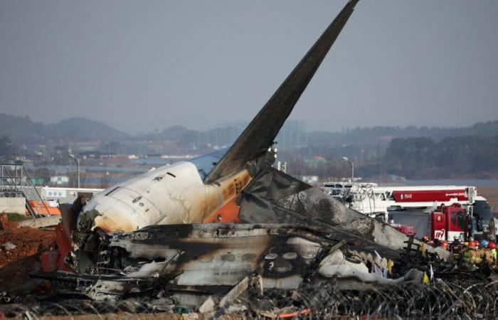 At least 120 dead, two survivors, birds struck… What we know about the plane crash in South Korea