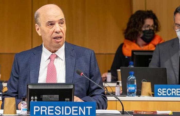 Presidency of the Geneva HRC: Morocco completes its mandate brilliantly