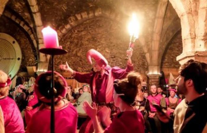 Medieval New Year's Eve in Provins: Banquet des Troubadours – Banquet des troubadours – Provins, 77160