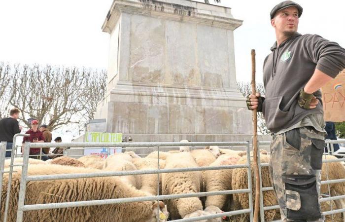 PICTURES. Farmers, Abbot Pierre, fire in the church of Saints Francis… A look back at the unusual year in Montpellier