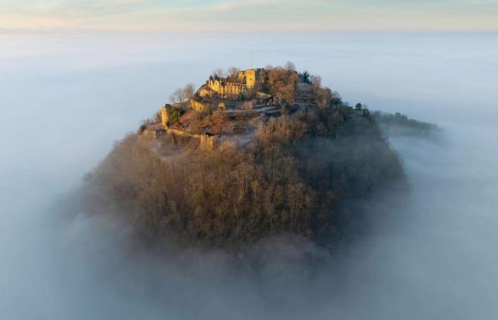 Toxic cloud over Germany until New Year’s Eve – meteorologists warn