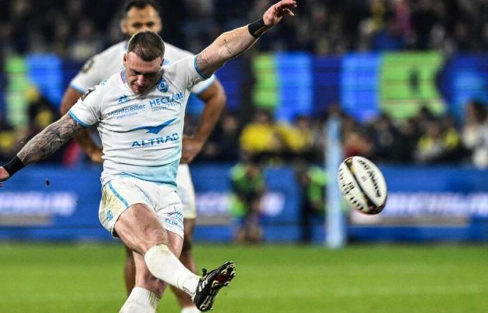 “Montpellier offered me a new life”, the confidences of the Scot Stuart Hogg