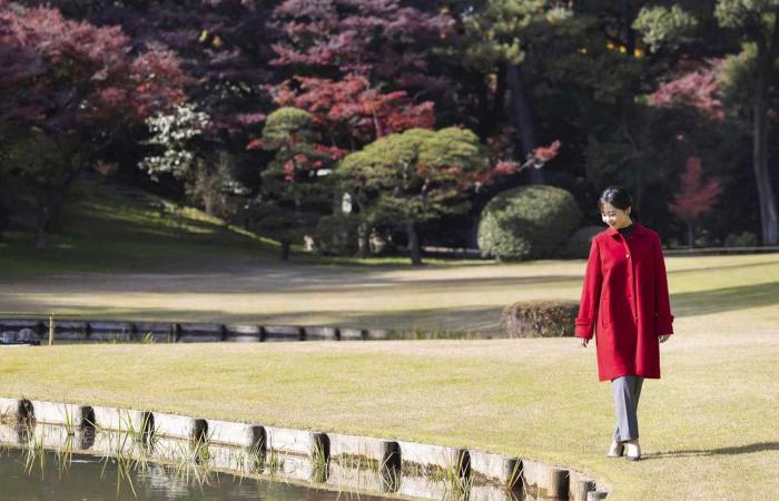 Princess Kako in red for her 30th birthday (PHOTOS)