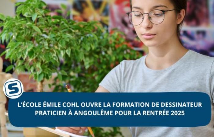 The Émile Cohl School opens the training of Practical Designer in Angoulême for the start of the 2025 school year